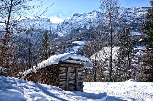 Electric Water Heater Arvada