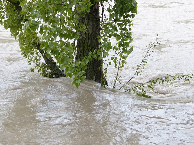 Emergency Flood Restoration Denver