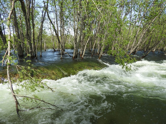 emergency-flood-restoration-denver-640x480-93827435.jpeg