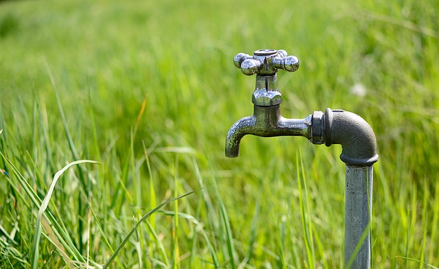 Emergency Gas Plumber Arvada