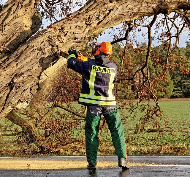 Emergency Water Damage Denver