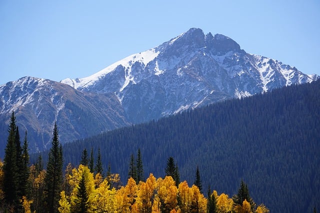Felony DUI Lawyer Colorado