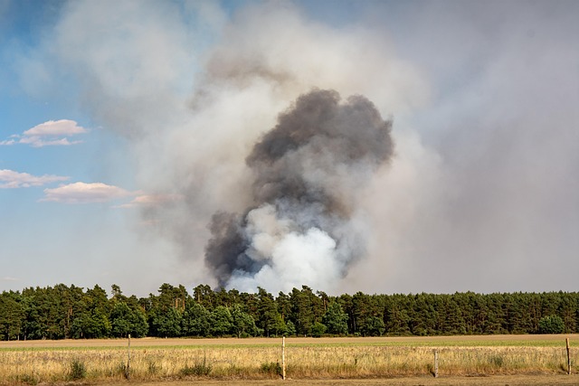 fire-and-smoke-restoration-denver-640x480-24128100.jpeg