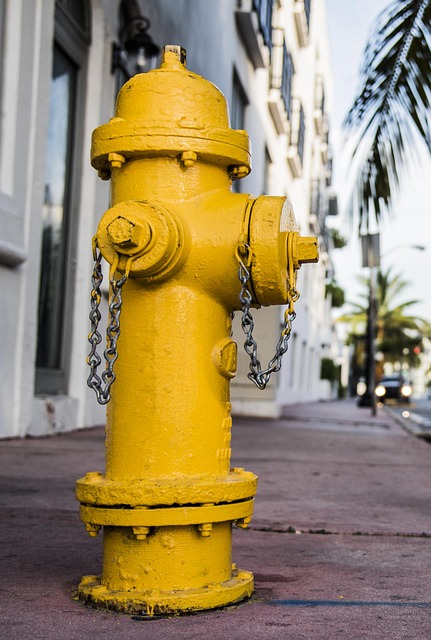 Fire and Water Restoration Denver