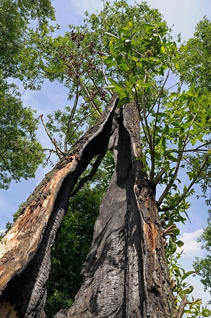Fire Damage Restoration Company Denver