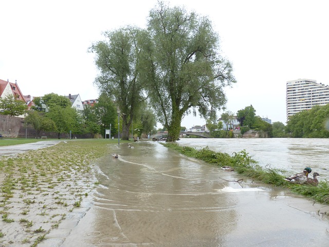 Flood Damage Repair Denver