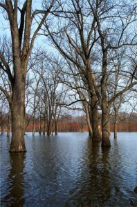 flood-damage-repair-denver-640x480-99898438.jpeg