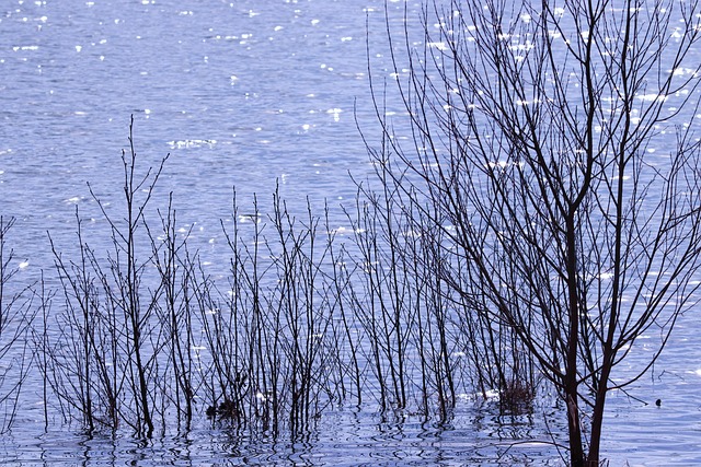 Flood Restoration Denver