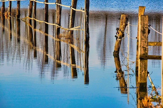 Flood Restoration Services Denver