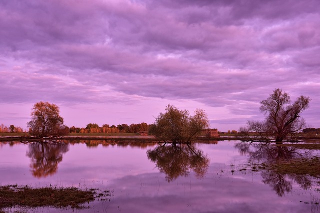 Flood Restoration Services Denver