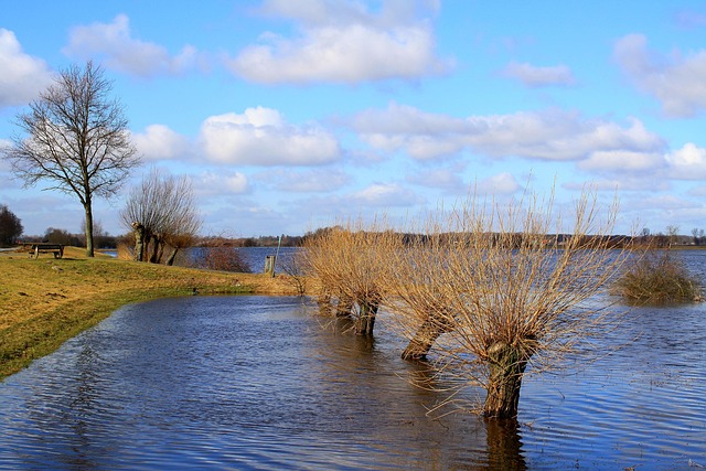Flood Restoration Services Denver