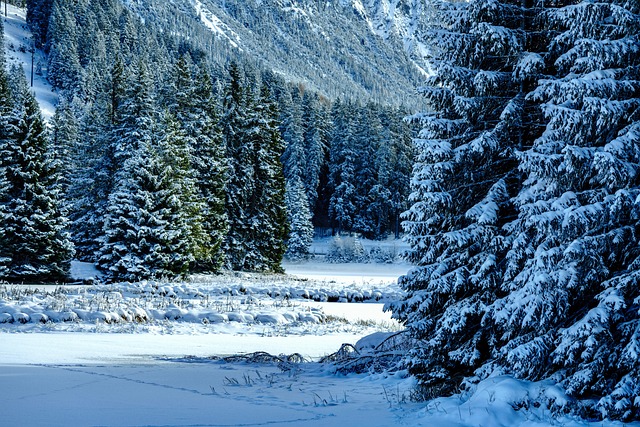 Frozen Pipe Repair Arvada