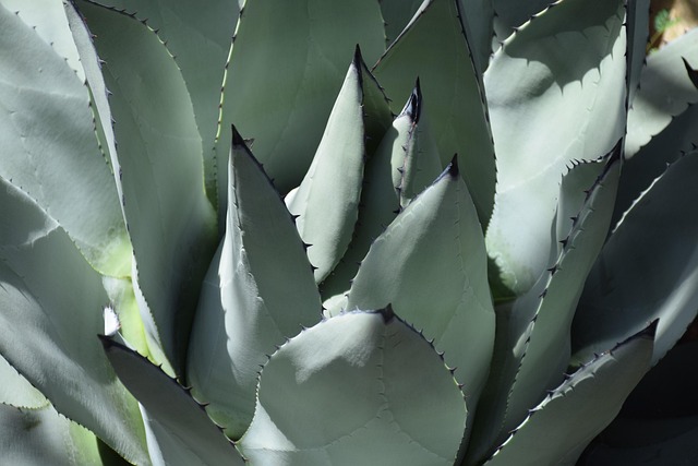 Home Water Filter Arvada