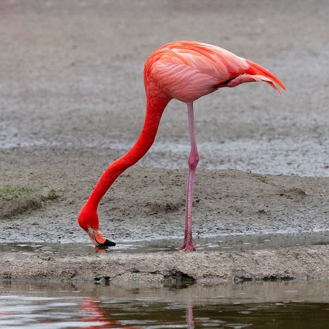 Home Water Filter Arvada