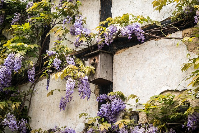 houses-640x480-88598684.jpeg