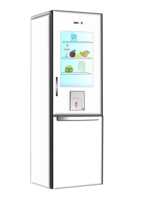 Kitchen Appliance Installation Arvada