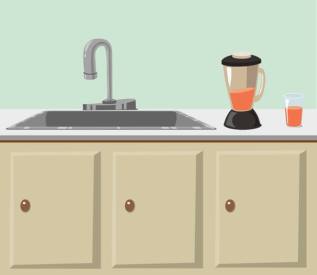 Kitchen Sink Plumbing Arvada
