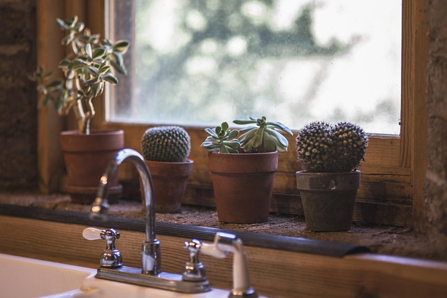 Kitchen Sink Plumbing Arvada
