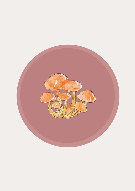 Kitchen Wall Tiles Denver