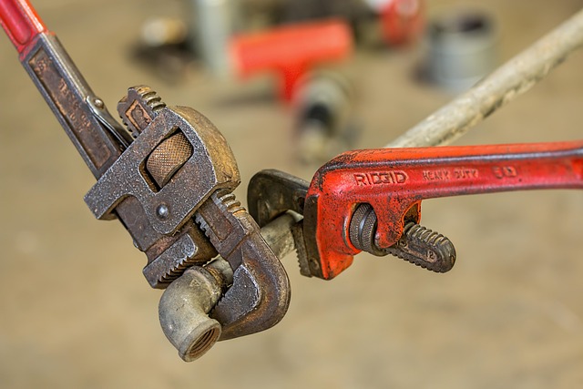 Licensed Plumber Arvada