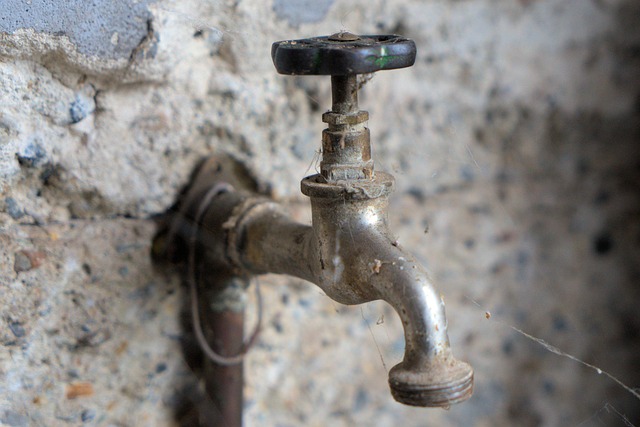 Licensed Plumber Arvada