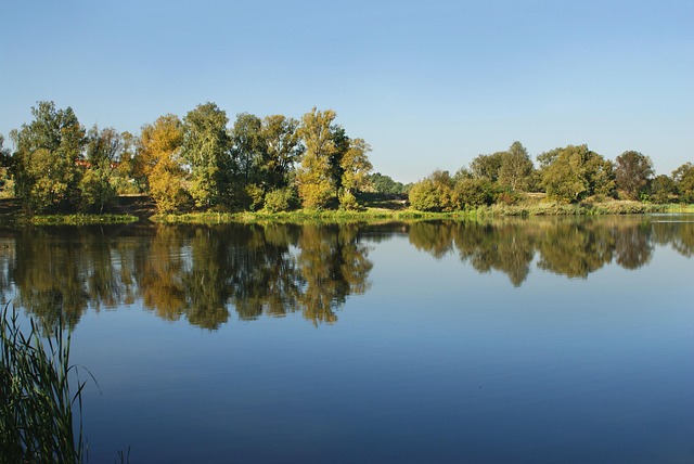 Licensed Plumber Arvada