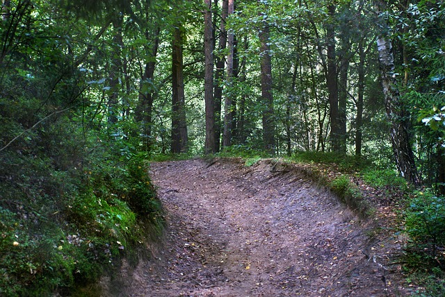 Licensed Plumber Arvada