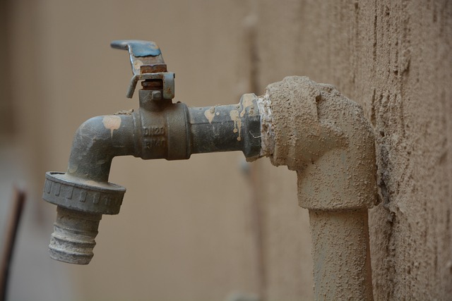 Local Plumber Arvada