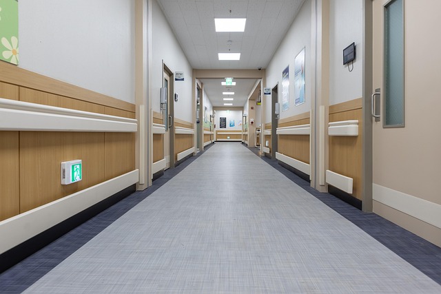 LVT Flooring Denver