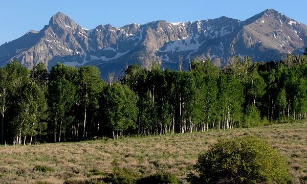 misdemeanor-defense-attorney-colorado-640x480-44223891.jpeg