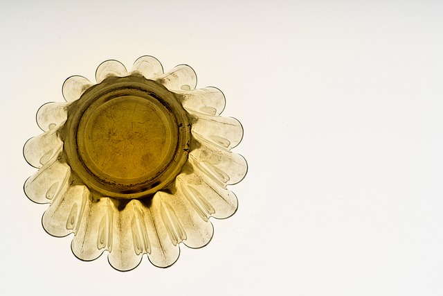 Mold Inspection Denver