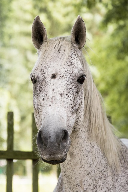 Mold Remediation Denver