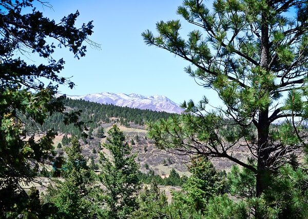 out-of-state-dui-lawyer-colorado-640x480-53271318.jpeg