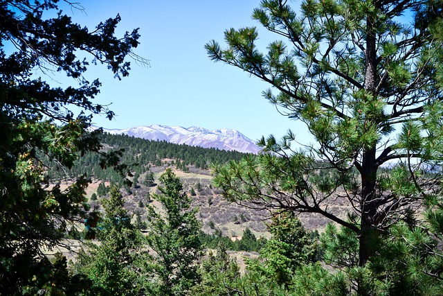 out-of-state-dui-lawyer-colorado-640x480-53271318.jpeg