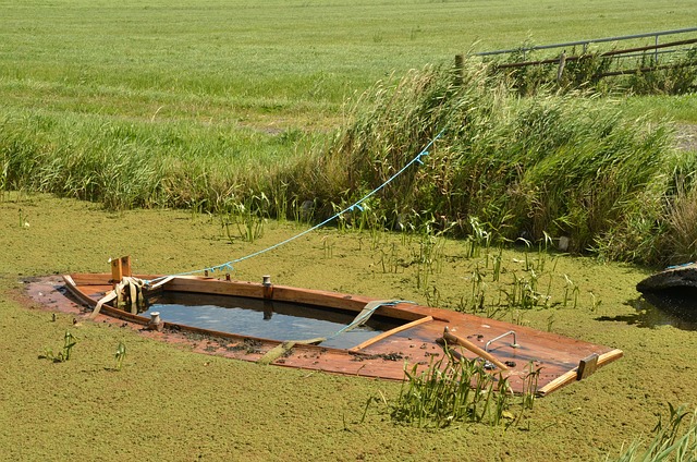Pipe Leak Repair Arvada