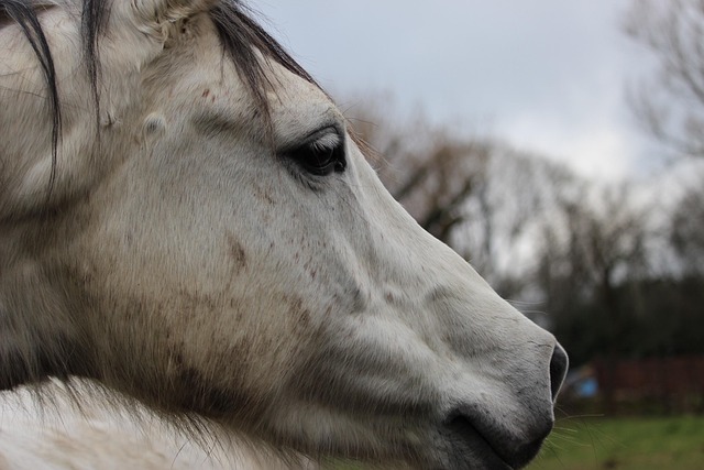 Plumber Near Me Arvada