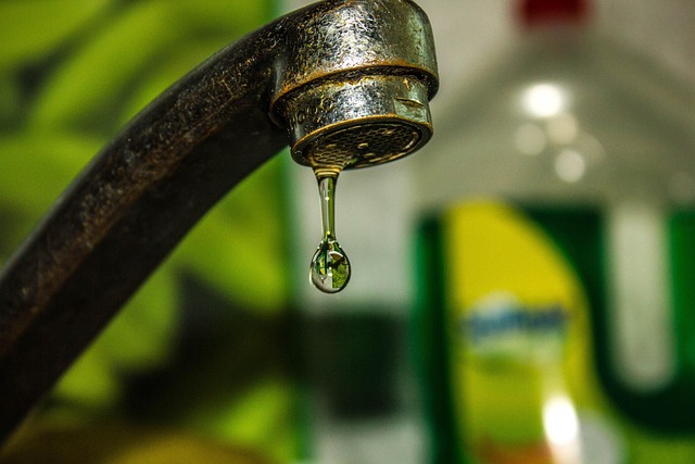 Plumbing Repair Near Me Arvada
