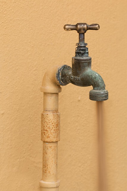 Plumbing Repair Near Me Arvada