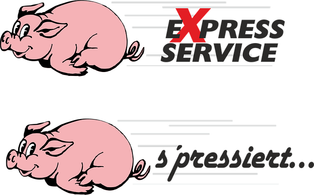 Repiping Services Arvada