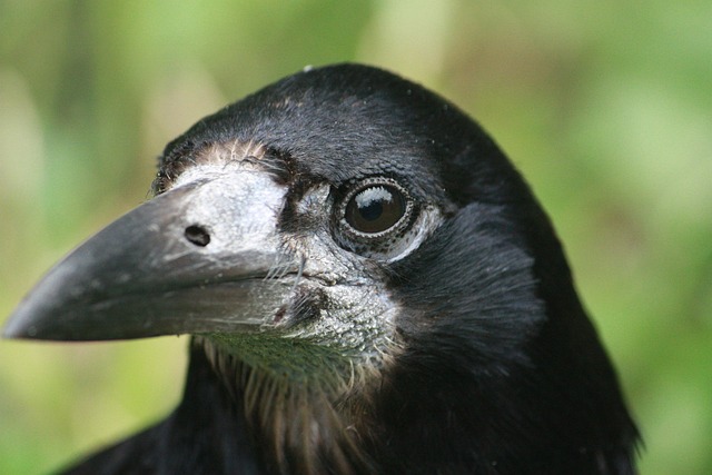 Sewage Backup Cleanup Denver