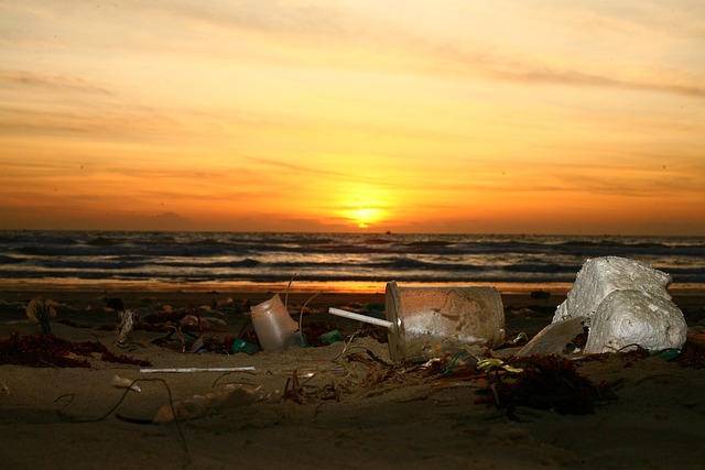 Sewage Backup Cleanup Denver
