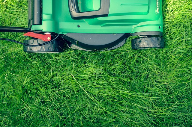 Sewage Cleanup Services Denver