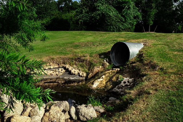 Sewage Cleanup Services Denver