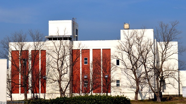 Sewage Cleanup Services Denver