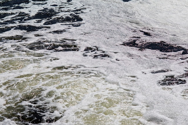 Sewage Cleanup Services Denver