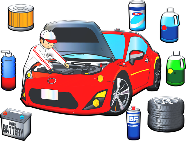 Sewer Repair Services Arvada