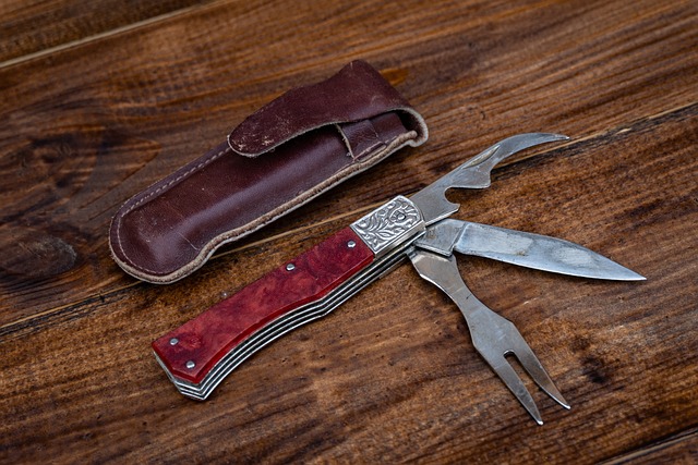 Sewer Repair Services Arvada