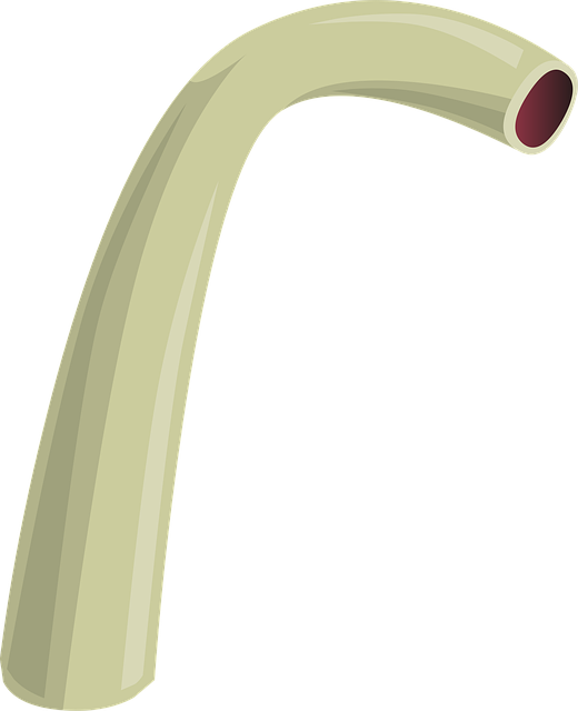 Sewer Repair Services Arvada