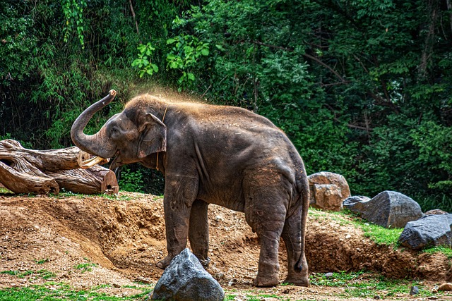 Shower Plumbing Services Arvada