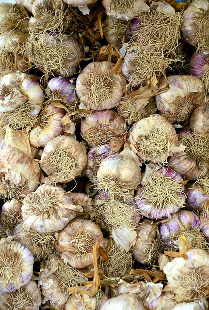 Smoke Odor Removal Denver